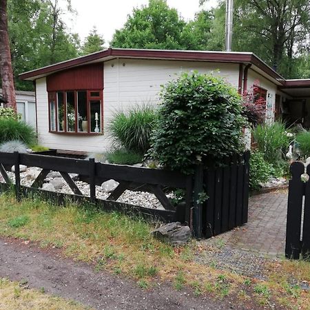 Sfeervol, Ruim En Luxe Chalet In Bosrijke Omgeving Βίλα Diessen Εξωτερικό φωτογραφία