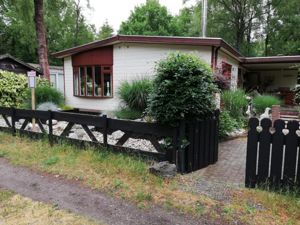 Sfeervol, Ruim En Luxe Chalet In Bosrijke Omgeving Βίλα Diessen Εξωτερικό φωτογραφία