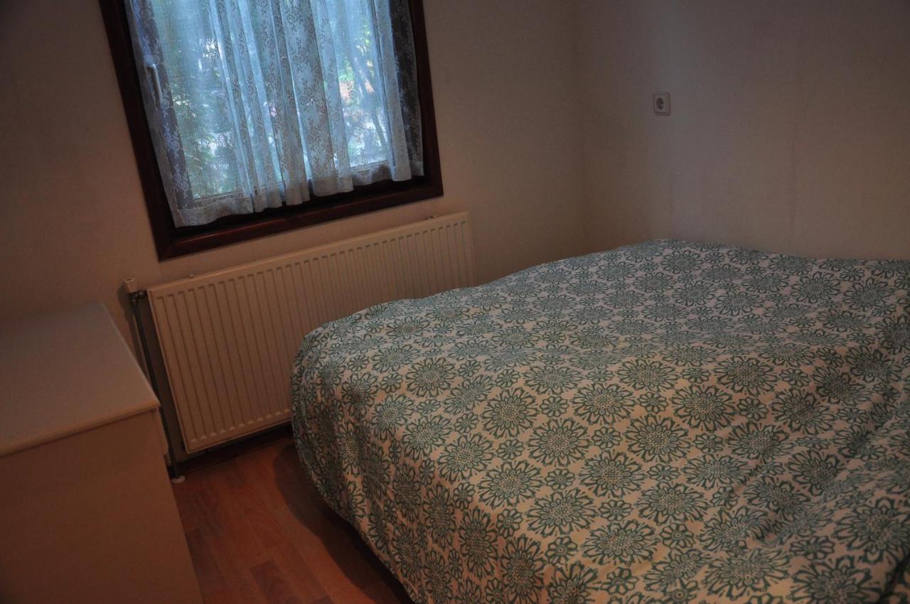 Sfeervol, Ruim En Luxe Chalet In Bosrijke Omgeving Βίλα Diessen Εξωτερικό φωτογραφία